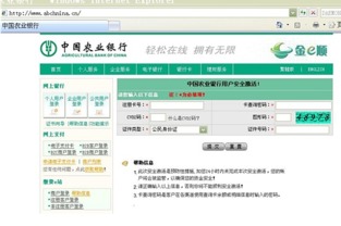 paid online questionnaires,Understanding Paid Online Questionnaires
